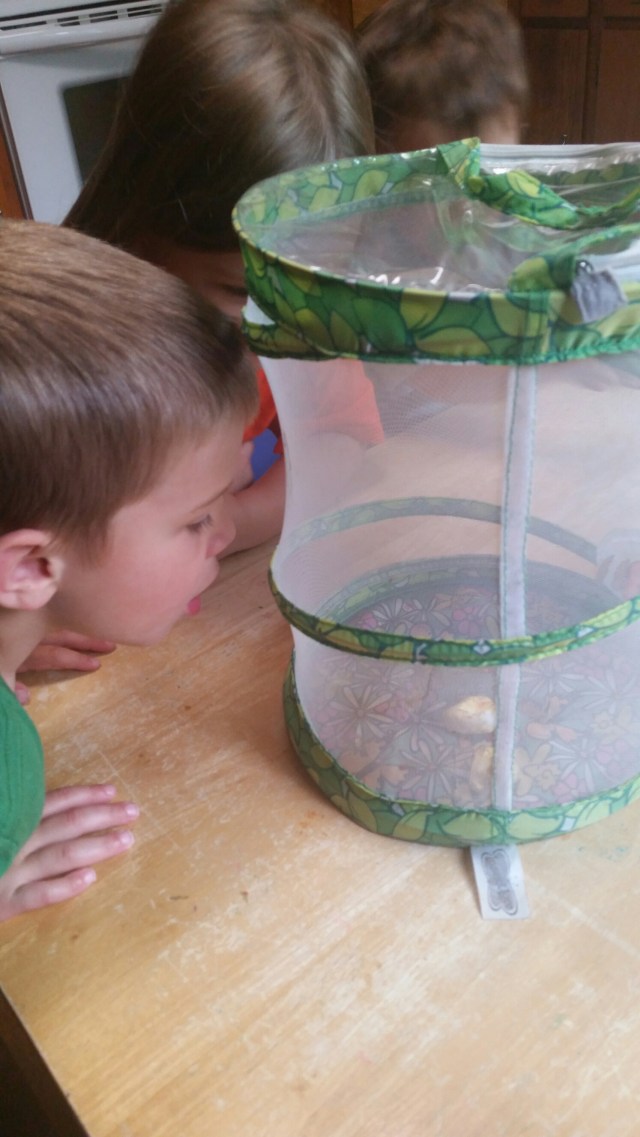 20150511_144528.jpg image