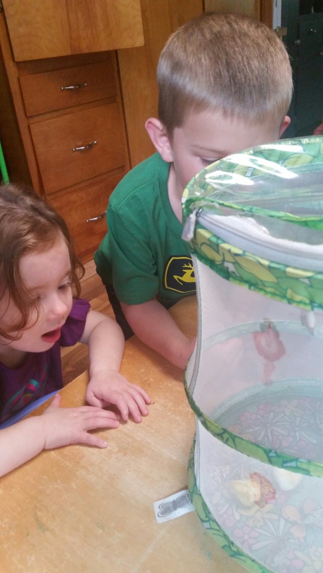 20150511_144540.jpg image