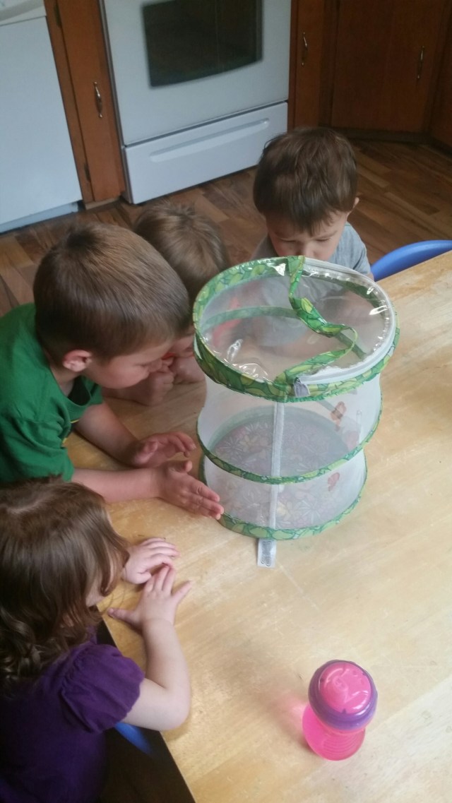 20150511_144544.jpg image