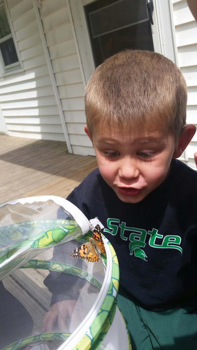 20150514_144246.jpg image