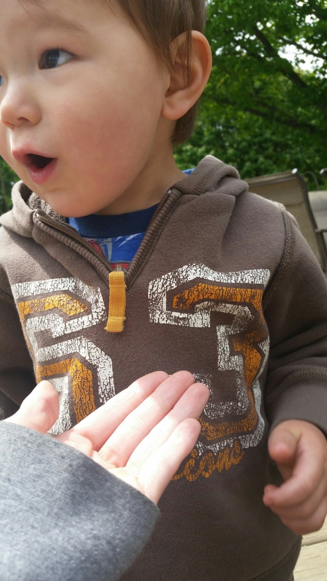 20150514_144422.jpg image