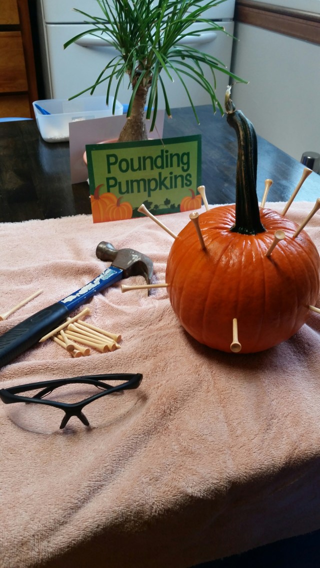 20151030_100804.jpg image